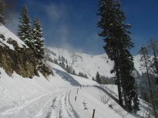 Klik za večjo sliko